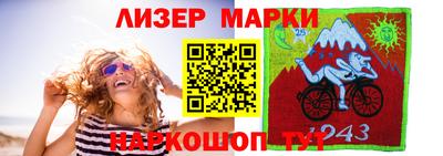 прущие грибы Камышлов