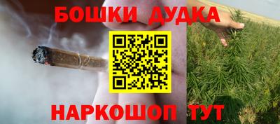 прущие грибы Камышлов