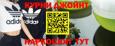 прущие грибы Камышлов