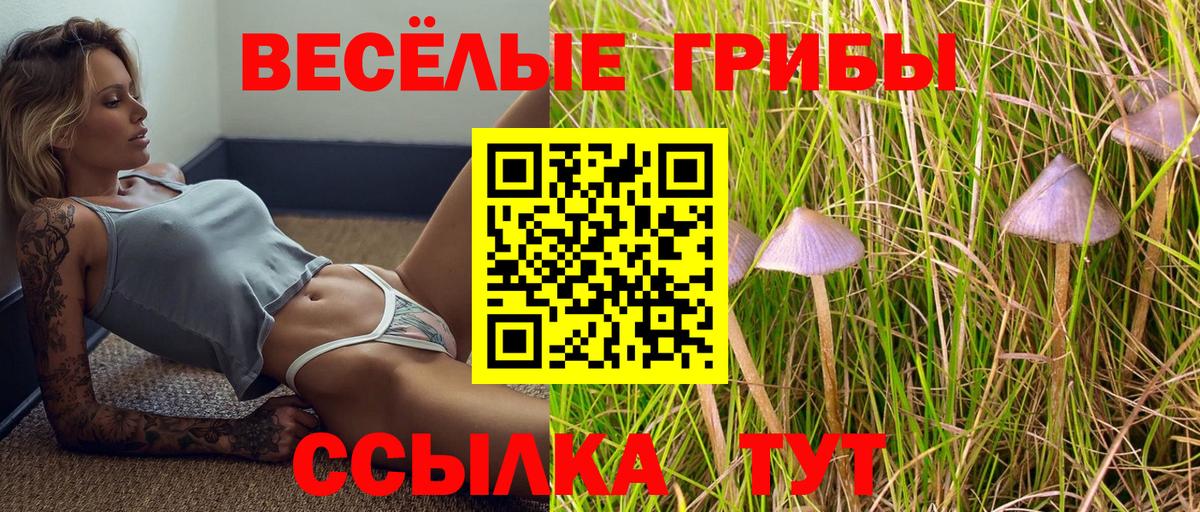 Галлюциногенные грибы Psilocybe  Вход с VPN  Кудымкар 