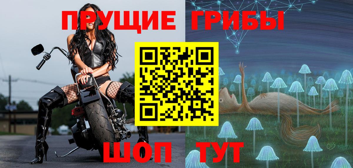 Псилоцибиновые грибы прущие грибы Кудымкар